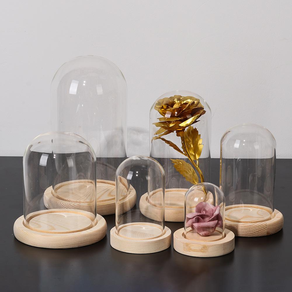 Guirlandes lumineuses, plantes - Reusable Bottle avis et prix