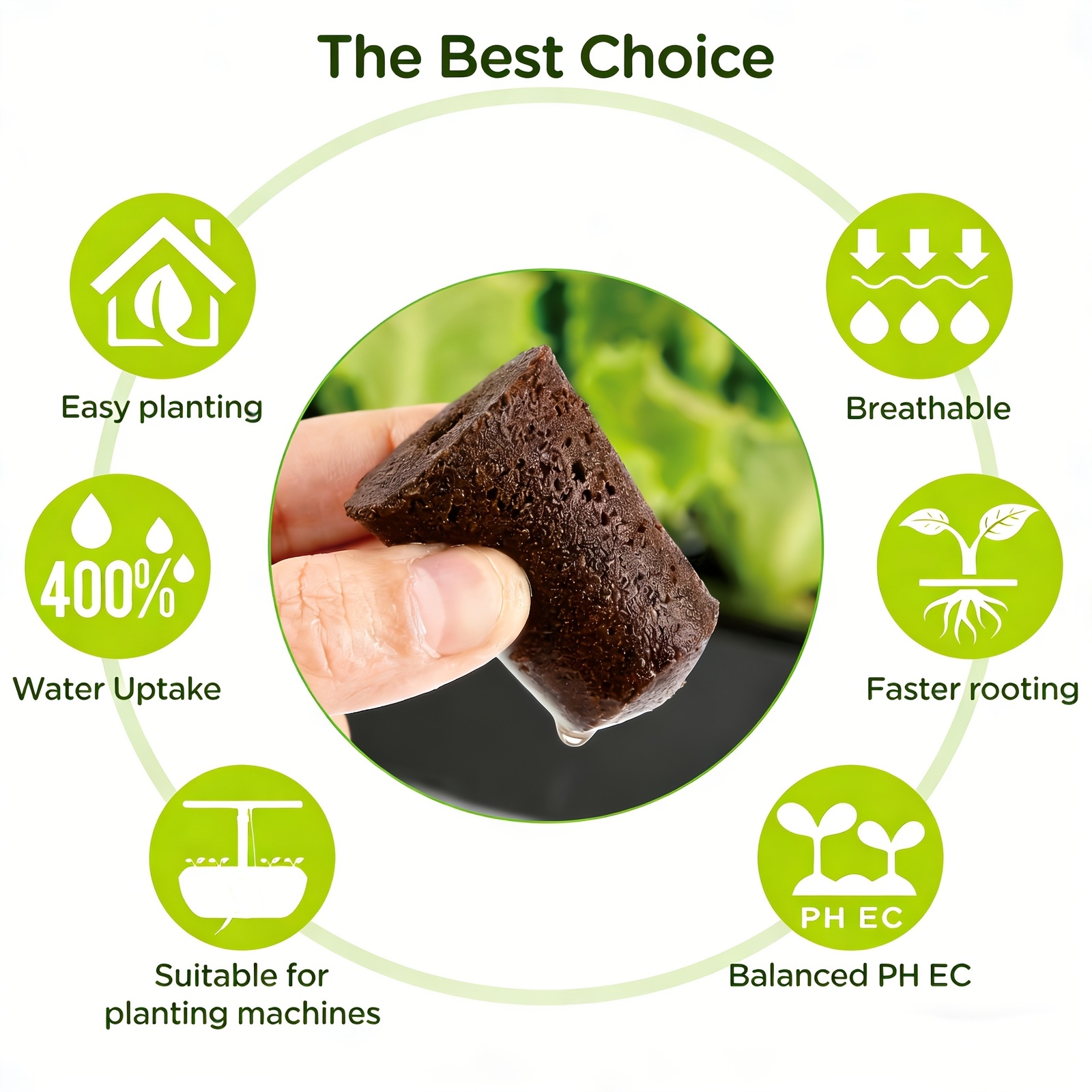 Couvre-jardins en éponge de cu - Eco Sponge avis et prix