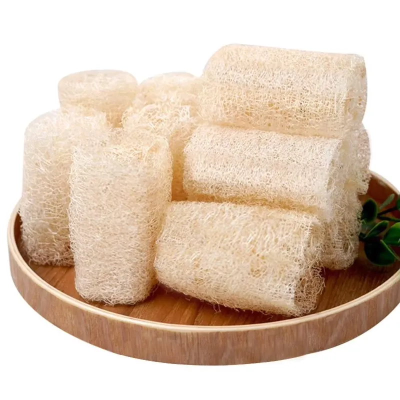 Nouvelle Brosse Éponge Naturel - Eco Sponge avis et prix